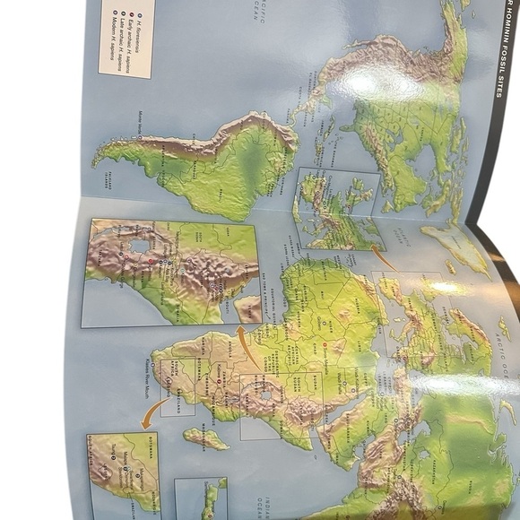 Essentials of Biological Anthropology 4th Ed. Clark Spencer Larsen - Picture 5 of 13